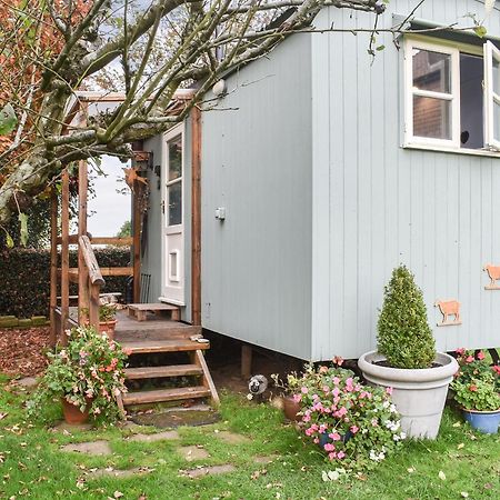 Farmhouse Garden Shepherds Hut Thursley Zewnętrze zdjęcie